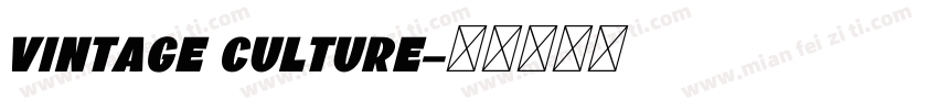 vintage culture字体转换